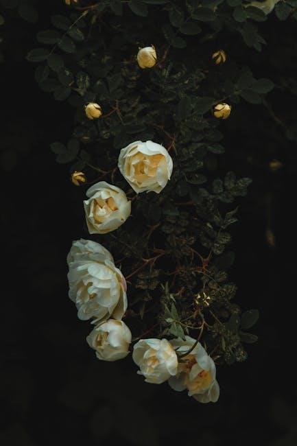 court of thorns and roses pdf