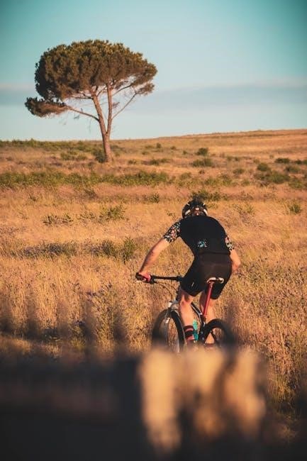 cape cod bike trail map pdf